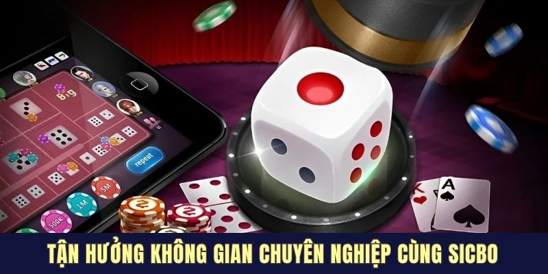Tận hưởng không gian chuyên nghiệp cùng Sicbo
